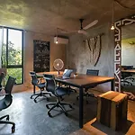 Casa Coyote