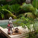 Casa Coyote Hotel