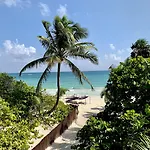 Libelula Beachfront 4* Tulum