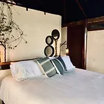 Hotel Libelula Beachfront 4*
