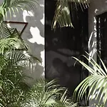 Amor Rooms Hotel