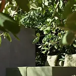 Hotel Amor Rooms