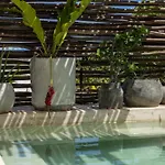 Teva Tulum, Aldea Zama