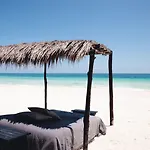 Nest Hotel Tulum