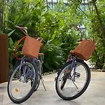 Lu'um - Free Shuttle To Club Apartment Tulum