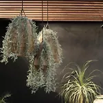 Villa Design Luxury 3br With 3 Pools, Stunning Rooftop, Boho Style, Near *