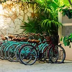 Teva Tulum, Aldea Zama