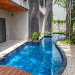 Jungle Ph Private Rooftop & Plunge Pool Ac Wifi *
