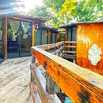 Mr Pakal Tulum