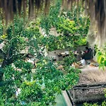 Jungle Sanctuary Wellness Retreat W Pool Bar *