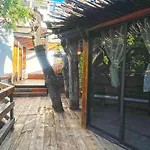 Mr Pakal Tulum