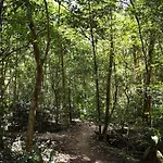 Beautiful House In The Heart Of The Jungle - Ya\'Axnik