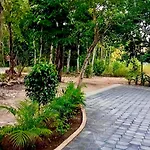 Retreat, Natural Magic And Tranquility * Tulum