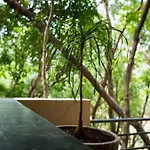3br Jungle Escape With Luxe Plunge Pool- Holistika * Tulum