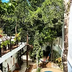 Tucanes
