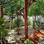Tucanes *