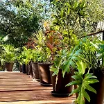 Tucanes Villa
