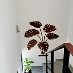Tucanes