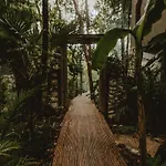 Private Jungle 1Br Retreat & Fast Wi-Fi