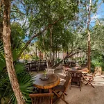 Modern With Pool Fast Wifi Perfect * Tulum