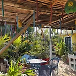 Maison Tulum