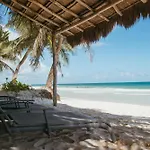 Olas Tulum
