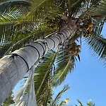 Apartahotel Casa Florentina Tulum