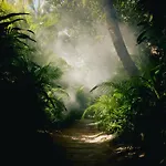 Nomade Temple