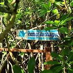 Casa Tortuga - Cenotes Park Inclusive