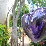 Villas Colibri