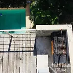 Casa Pitahaya
