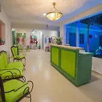 Mestizo Gallery