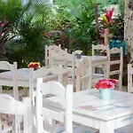 Apartahotel Livetulum 4*