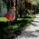 Tulum Tropical Suite