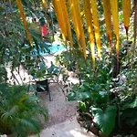 Casa Guanabana