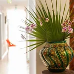 Mestizo Gallery Hotel
