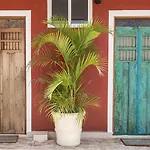 Hotel Casa Colonial
