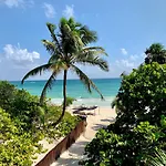 Libelula Beachfront 4*