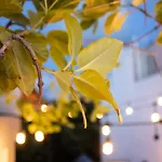Hotel Banana Tulum