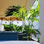 Banana Hotel Tulum