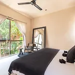 Nest 4* Tulum