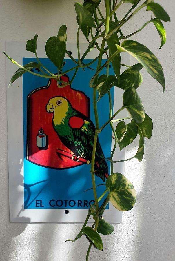 La Casona Hostel