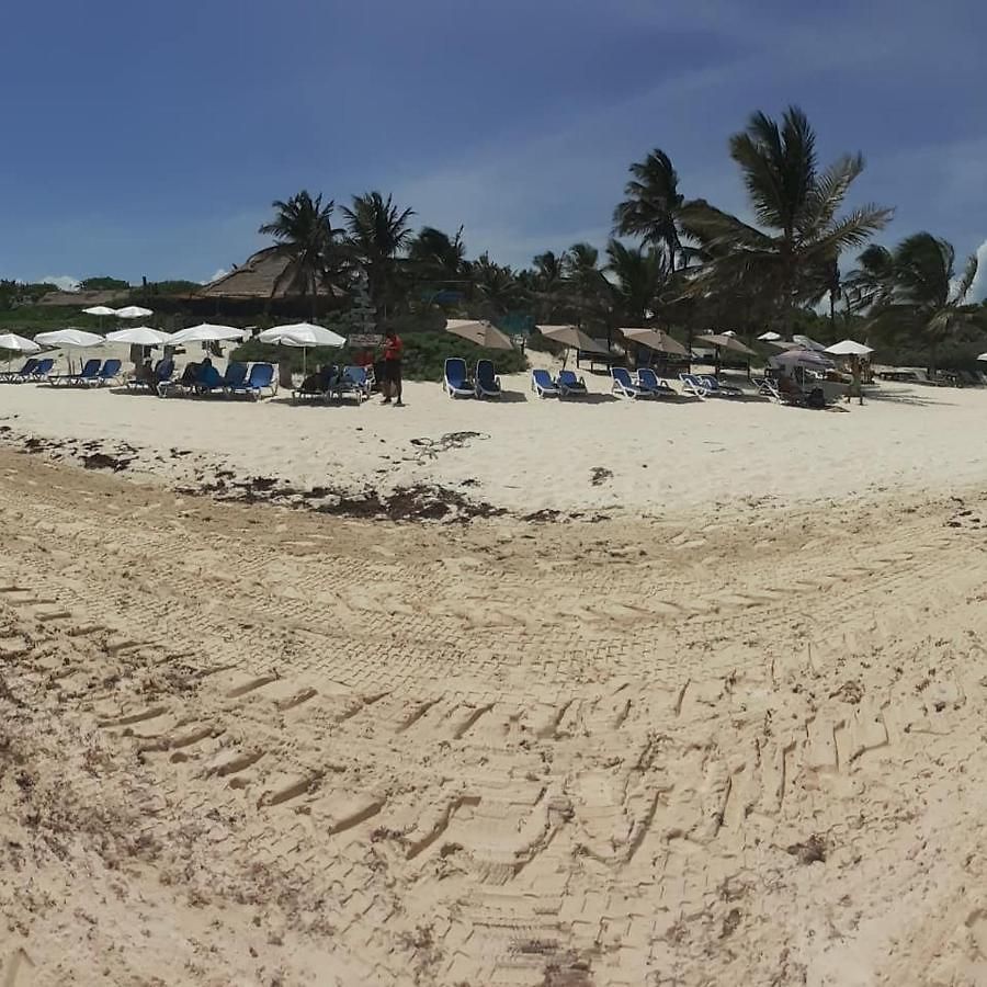 Playa Palmas * Tulum