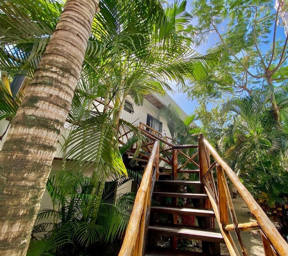 Hotel Pacha Boutique 4*