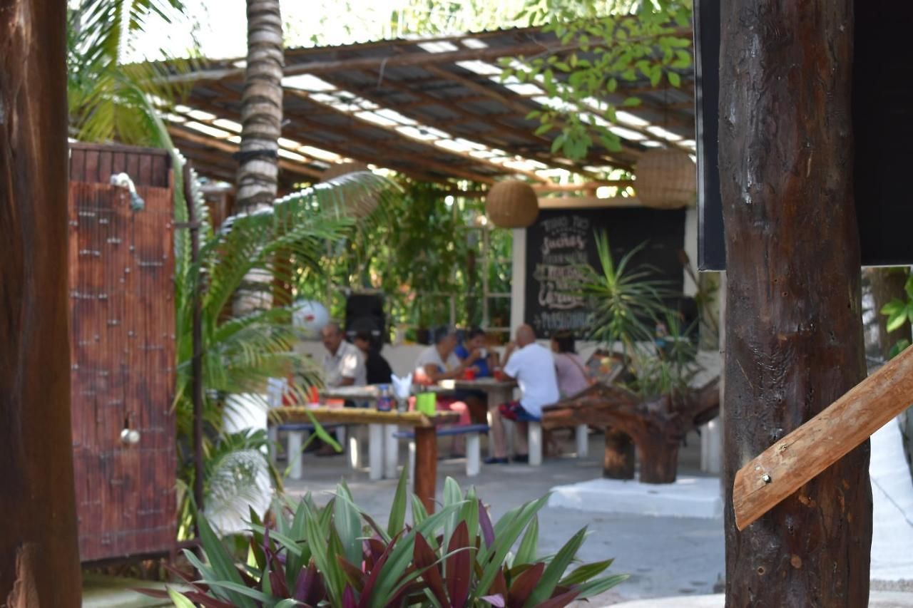 Lobo Tulum