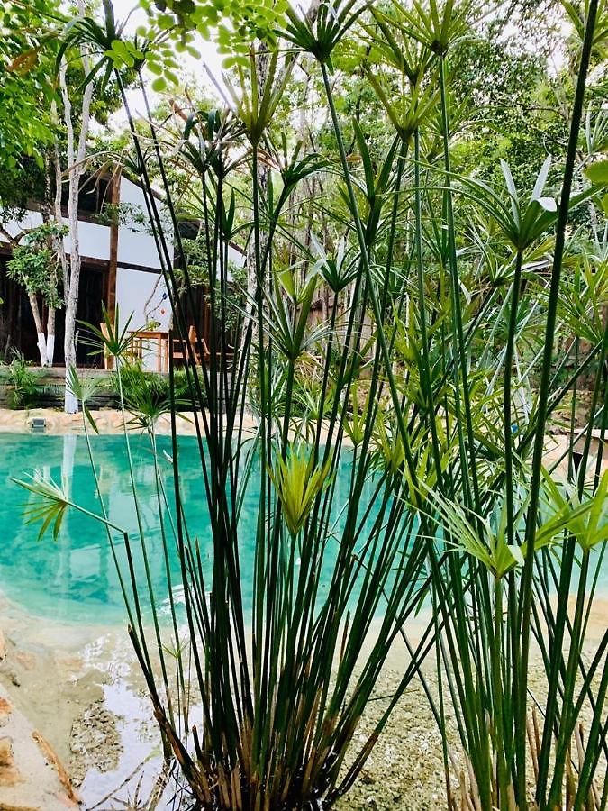 Nahouse Jungle Lodge Tulum