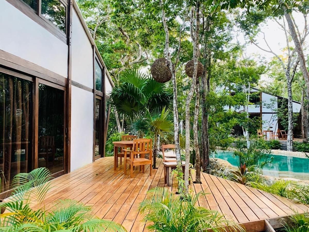 Nahouse Jungle *