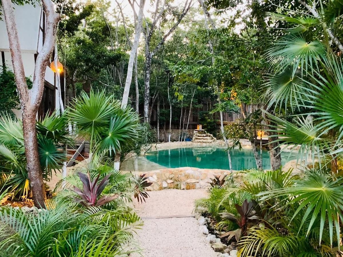 Nahouse Jungle