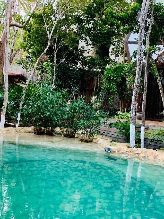 Lodge Nahouse Jungle