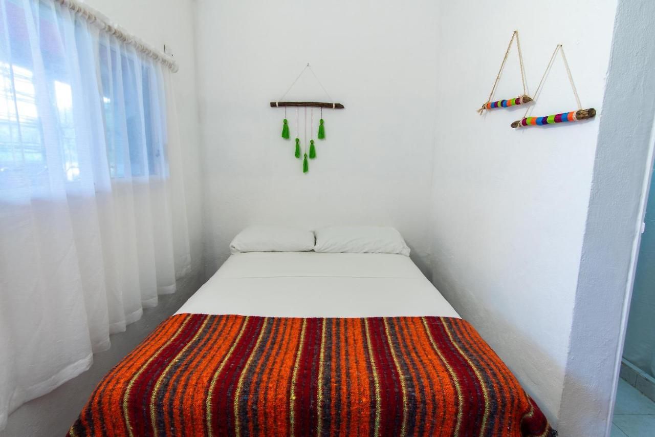 Lobo Tulum
